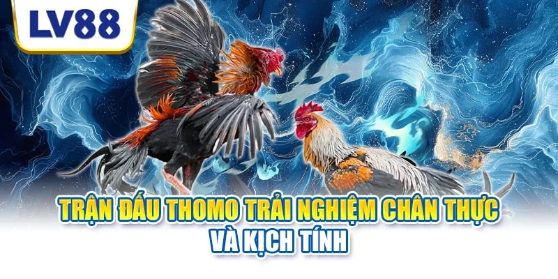 Bí quyết giúp người mới nâng cao khả năng quan sát