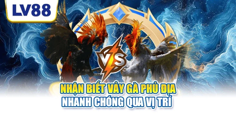 Nhận biết vảy gà phủ địa nhanh chóng qua vị trí