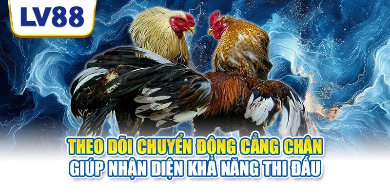 Theo dõi chuyển động cẳng chân giúp nhận diện khả năng thi đấu