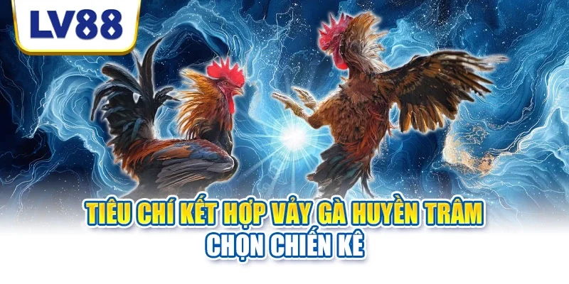 Tiêu chí kết hợp vảy gà Huyền Trâm chọn chiến kê