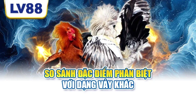 Tiêu chí đánh giá chiến kê qua vảy đặc biệt