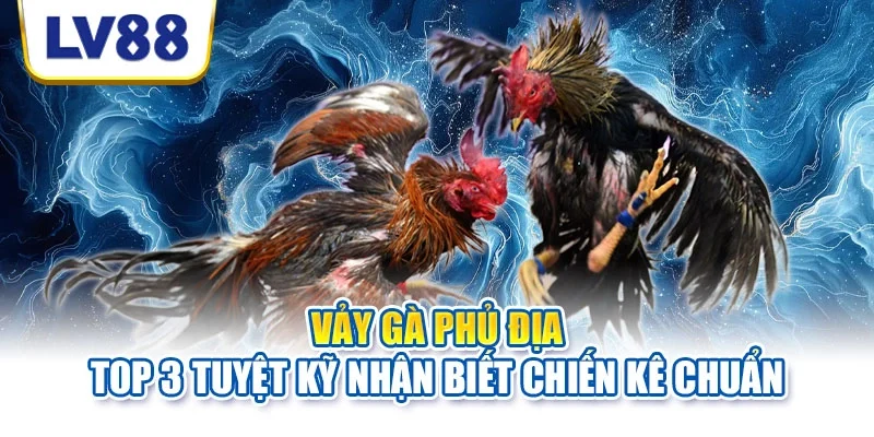 Vảy gà phủ địa